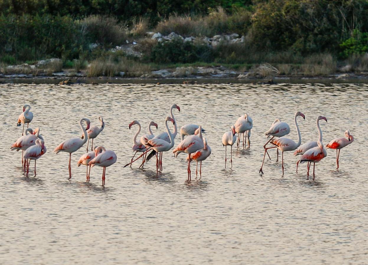 Masseria Scaledda มันดูเรีย ภายนอก รูปภาพ